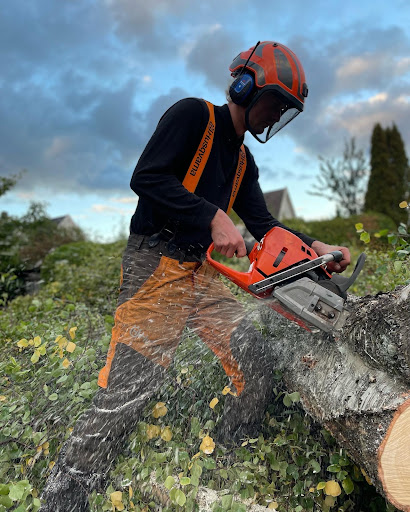RS Trefelling AS - Tree service in Larvik, Norway