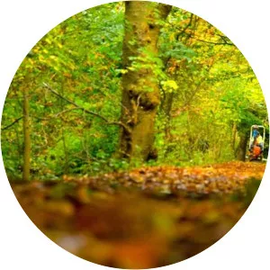 RSPB Baron’s Haugh