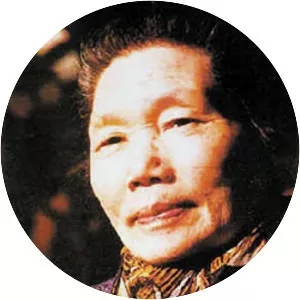 Ru Zhijuan