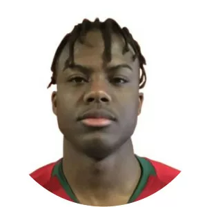 Ruben Alexandre Figueiredo Soares Travassos