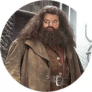 Rubeus Hagrid - Harry Potter character