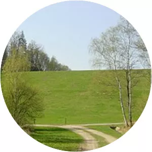 Rückhaltebecken Buschbach (. . .