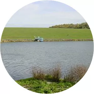 Rückhaltebecken Friedrichswalde-Ottendorf