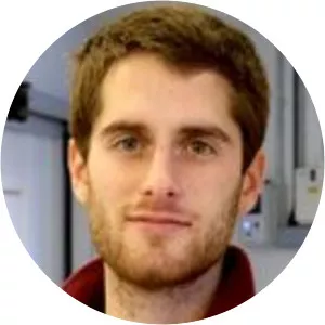 Rui Ponte Costa - Researcher