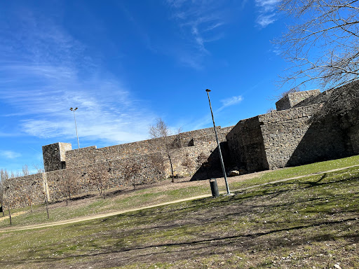Ruina que semeja un castillo