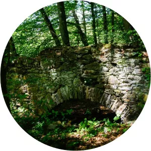 Ruine Tursenstein - 
