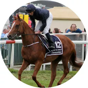 Ruler of the World - 