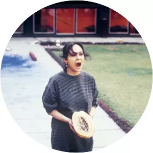 Rummana Hussain - Artist