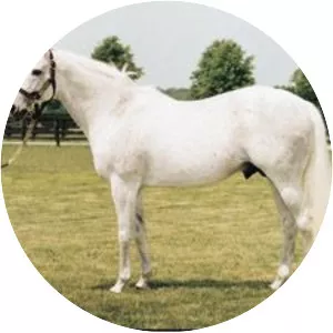 Runaway Groom photograph