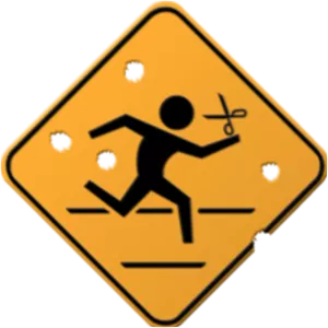 Running with Scissors - Video game developer