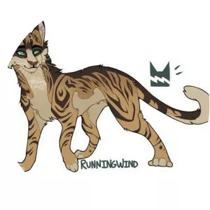 Runningwind - Fictional character