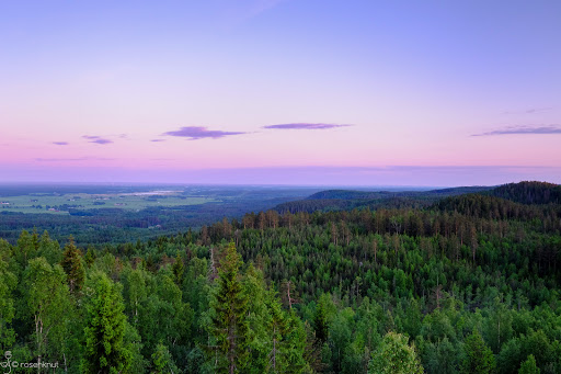Rusakulan - Vista point in Sweden