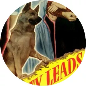 Rusty Leads the Way - 1948 ‧ Adventure/Family ‧ 59 mins