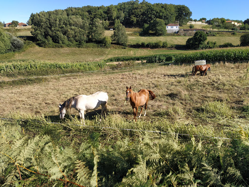 Ruta da Auga, Fonte e Lavadoiros de Parada - Hiking area in Spain