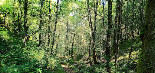 Ruta de Zarras - Hiking area in Spain