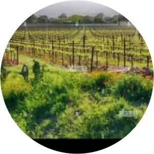 Rutherford - California