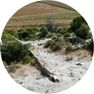 Rutilius Taurus Aemilianus Palladius - Writer