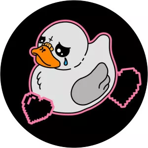 Ružno Pače photograph