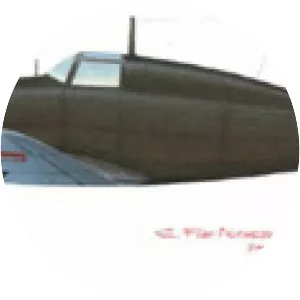 RWD-25 - Aircraft model