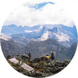 Rwenzori Mountains - 