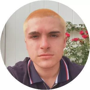 Rxseboy - Musical artist