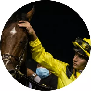 Ryan Curatolo - Jockey