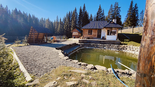 Rybolovlya Foreli - Fishing pond