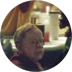 Rycar Ryjerd - Fictional character