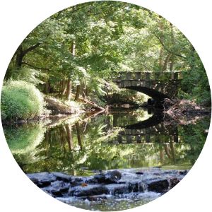 Rye Nature Center - GROUNDS OPEN