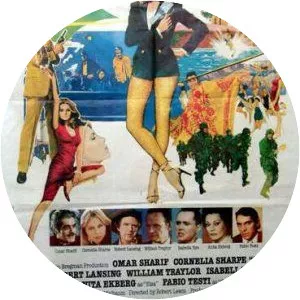 S+H+E: Security Hazards Expert