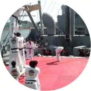 S. S. Lane Victory - 