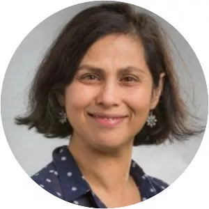 Saadia M. Pekkanen - Political scientist