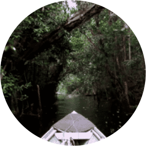 Sabangau National Park