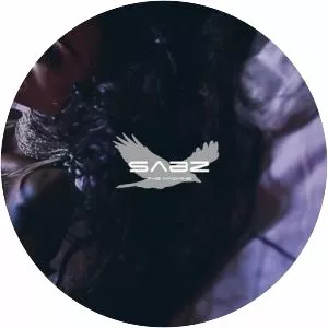 Sabz the Machine - Musical artist