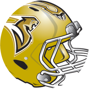 Sacramento Mountain Lions