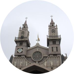 Sacred Heart Cathedral of Thái Bình - 