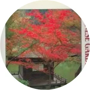 Sadao Hibi - Photographer