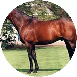 Sadler's Wells - Horse