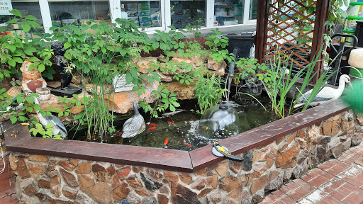 Sadovodcheskiy Magazin