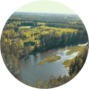 Saesaare paisjärv - 