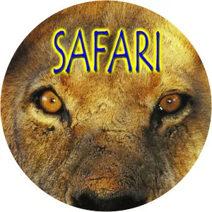 Safari - Web browser