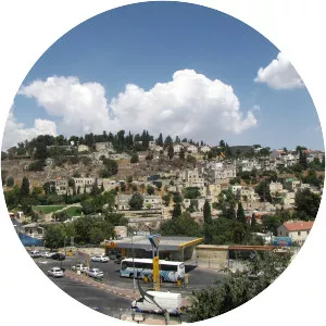 Safed