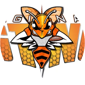 Saginaw Sting - Indoor American football team