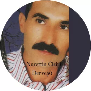 said gabari nurettin ciziri - Musical artist