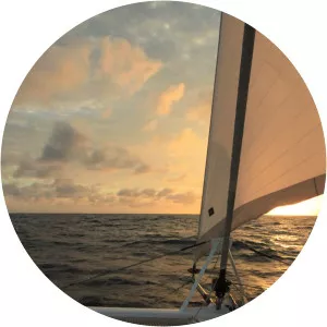 Sail GP Catamaran Racing