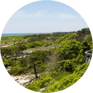 Sailors Haven - Beach in Fire Island, New York
