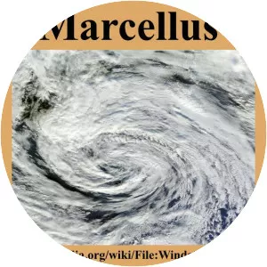 Saint Marcellus' flood - 