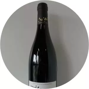 Saint-Nicolas-de-Bourgueil