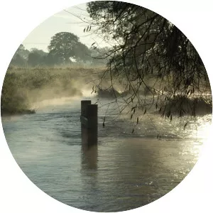 Saint Patrick's Stream