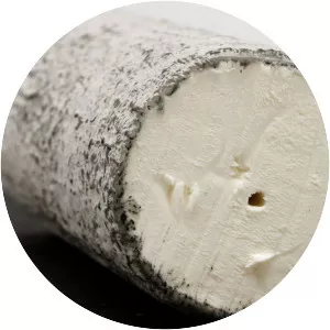 Sainte-Maure de Touraine